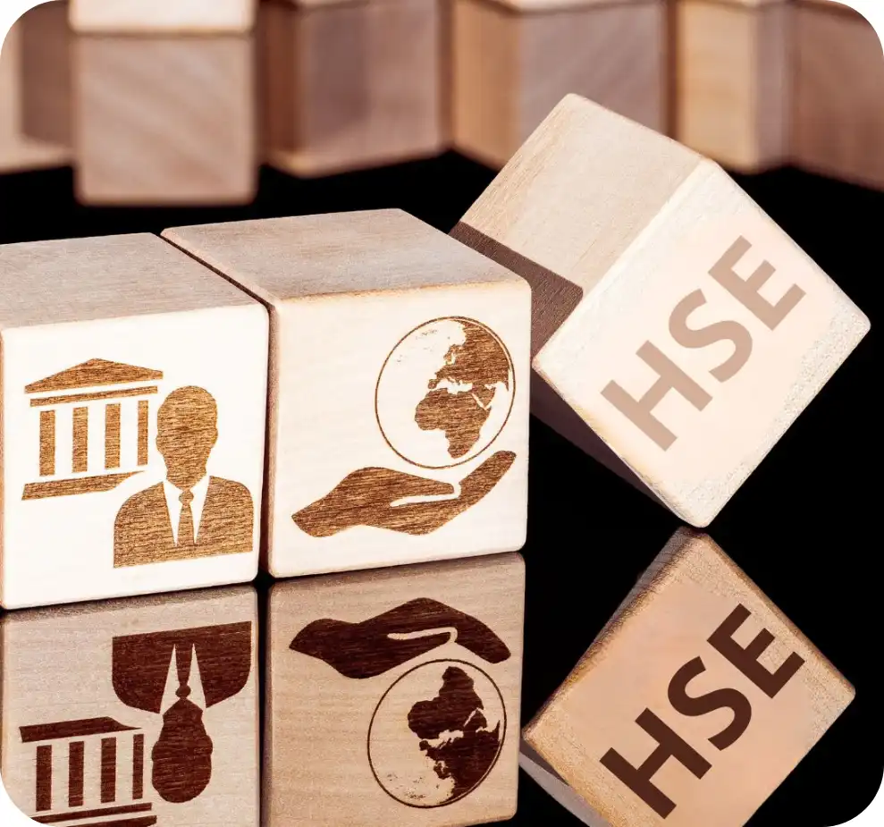 HISTORIA-DE-HSEQ-CAMERO