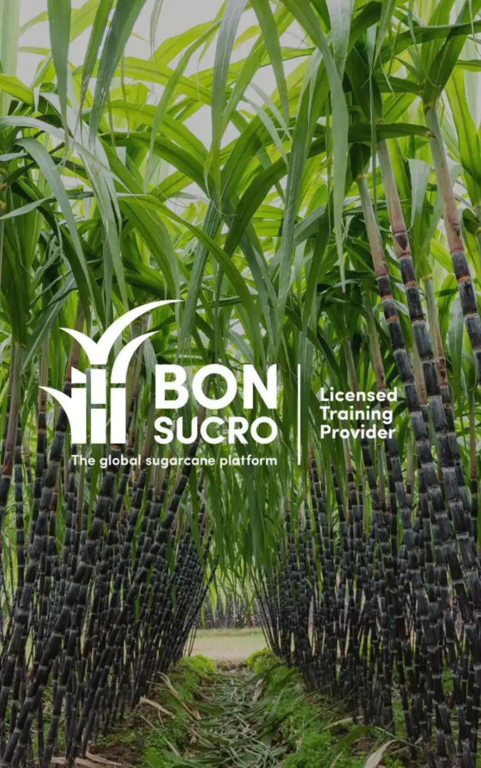 Acompañamiento a la implementación del estándar Bonsucro V5.1 en cultivo de caña de azúcar