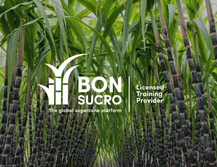 Acompañamiento a la implementación del estándar Bonsucro V5.1 en cultivo de caña de azúcar