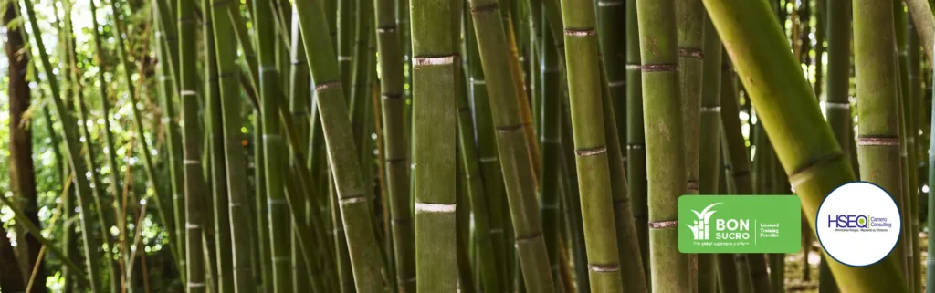 Estándar Bonsucro Clave para una Producción Sostenible de Caña de Azúcar